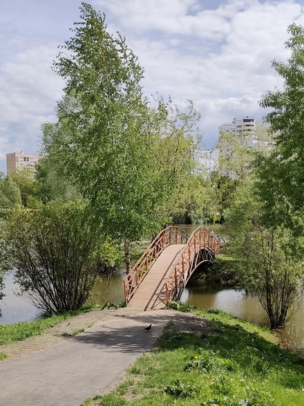 Мост на остров на пруду Бабаевка