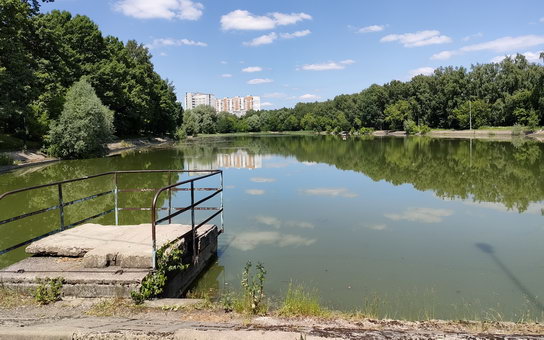 Большой Лосиноостровский пруд - смотровая площадка