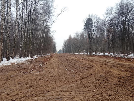 Варварское строительство незаконной дороги в Лосином Острове