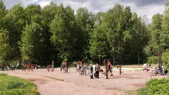 Лосиный Остров. Тренажеры рядом с прудом Лось