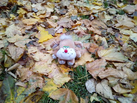 Осенний этюд