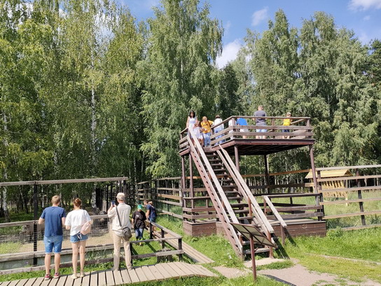 Смотровая площадка