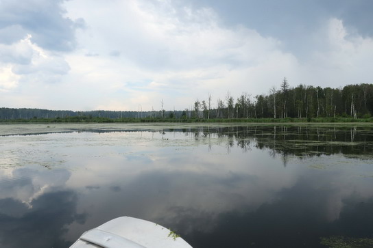 Сначала путь на байдарках идёт почти по открытой воде