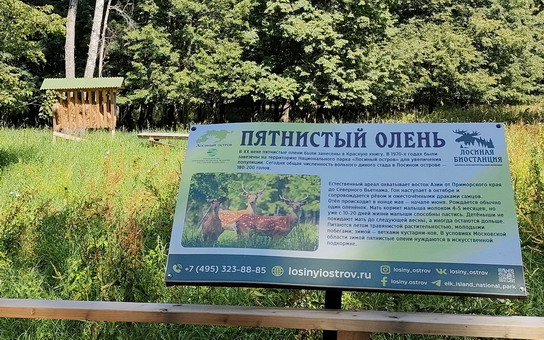 Табличка с информацией и кормушка