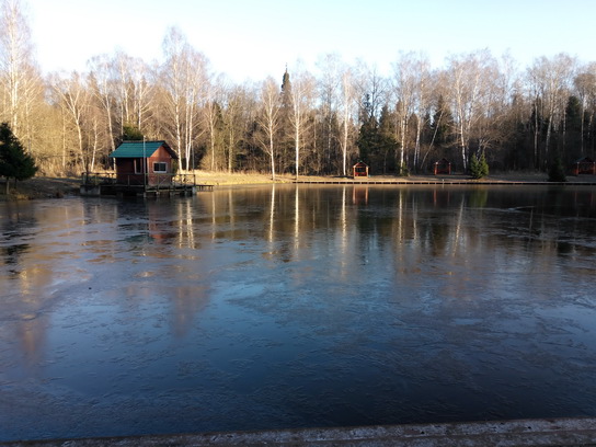 Лосиный Остров, платная рыбалка "Клёвое место"