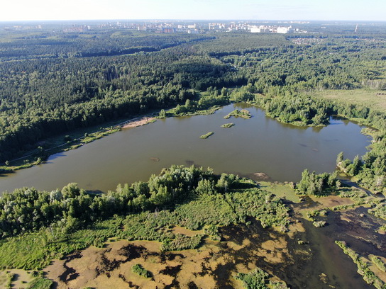 Озеро Торфянка (Байк-Озеро) в Лосином Острове