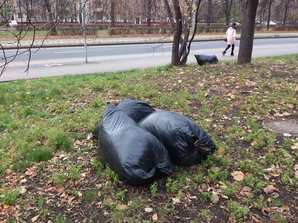 Осенняя уборка листвы в московских скверах, парках и бульварах