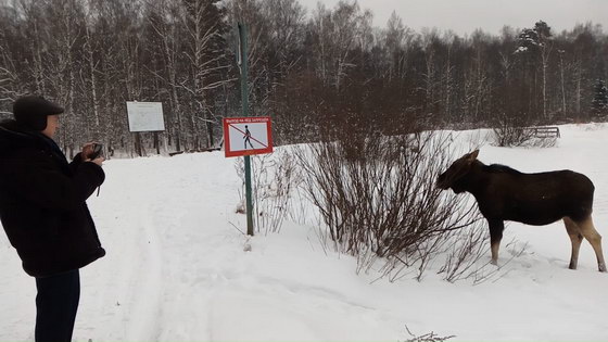 Стоп-кадр из тестового видео